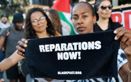 Chicago suburb locals hope reparations addresses 'affordability pressures' as Black population dwindles