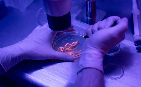 Scientists have discovered an ‘age counter’ in our DNA and now believe our aging process may have been miscalculated from the start