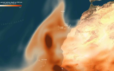 The “brown ribbon” that can now be seen from space continues to grow in the Atlantic, and scientists warn that this is not just another simple stain