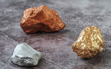 What they have discovered in the Andes Mountains, between Argentina and Chile, is not just any mine, but a colossal deposit containing up to 84 billion pounds of copper, tens of millions of ounces of gold and silver, and a potential that is already revolutionizing the market