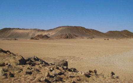 Scientists Say We’ve Been Looking in the Wrong Place for Human Origins After They Found This Fossil in This Forgotten Region of Egypt