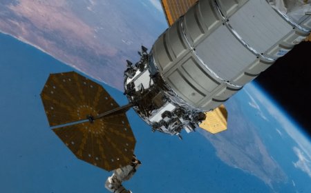 Tiny Worms Headed to Space to Solve Major Health Challenges for Astronauts