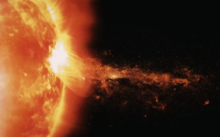 Scientists Spot Unusual Solar Flare Emissions That Defy Current Solar Models