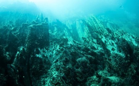 Underwater Mountain Taller Than Mount Olympus Found in Pacific Ocean. Then Flying Spaghetti Monsters From the 1800s Emerged