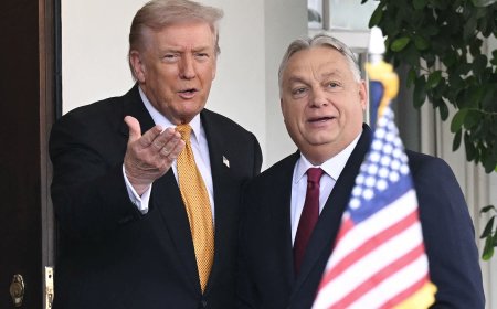 Trump Tells Hungarians To ‘Get Out And Vote For Orban’