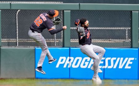 Tigers OF Meadows has broken arm, concussion