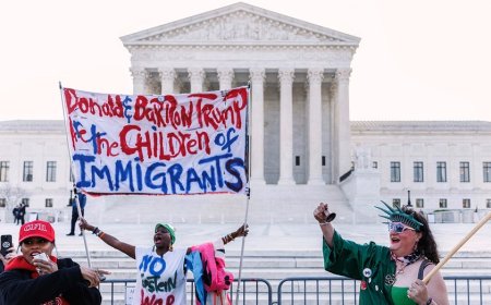 Trump’s birthright citizenship crusade draws backing from cohort of prominent legal scholars