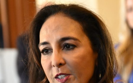 Assistant AG for Civil Rights Harmeet Dhillon: Trump DOJ Will Sue If Virginia Gov. Signs 'Assault Weapons' Ban
