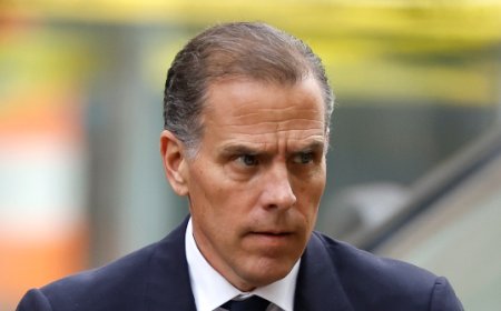 Hunter Biden: I'm '100 Percent In' on a Cage Match with Don Jr. and Eric Trump