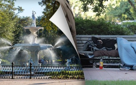 Scenic Southern cities tarnished by homeless crime scourge must hold ‘feet to the fire,’ GOP lawmaker warns