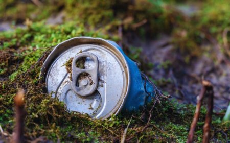 Two Hikers Found a Simple Aluminum Can in the Woods Filled With Nearly 600 Gold Coins Worth $330,000