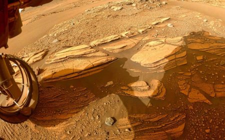 NASA’s Perseverance Rover Has Discovered Hidden Gemstones Never Before Seen on Mars