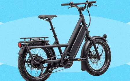 Best Electric Cargo Bikes (2026): Urban Arrow, Lectric, Tern, and More