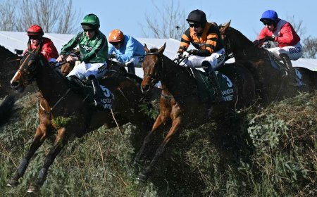 How to watch Grand National 2026: Free Streams & TV Channels for Aintree National Hunt Race