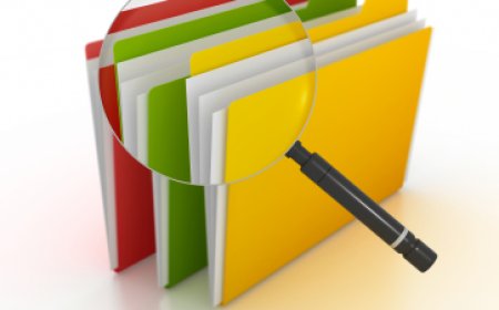 Detecting Overrides of Internal Controls