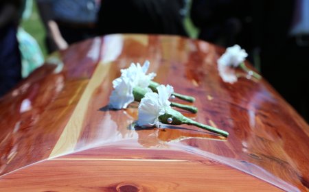 SFO charges two in Safe Hands Plans investigation