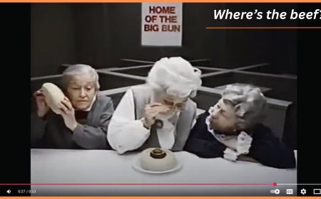 Where is the beef? Developing a Deeper Understanding of Potential Fraud Schemes