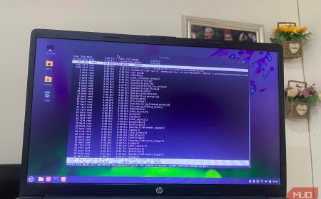 I found a Linux command that shows exactly which app is eating my disk I/O in real time