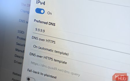 I finally escaped my ISP's DNS lock-in with this device-level trick