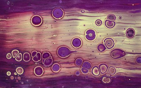 Keratin, the protein behind hair and nails, turns out to have a hidden role in controlling skin inflammation