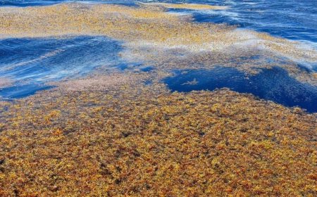 There is a body of water on Earth that is not bordered by any coastline and is warming rapidly