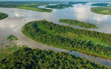 A study published on February 23, 2026, uncovers a silent leak in two dark lakes in the Congo and reveals that up to 39% and 40% of the carbon they release comes from peat that accumulated thousands of years ago, offering a troubling clue to the great climate puzzle