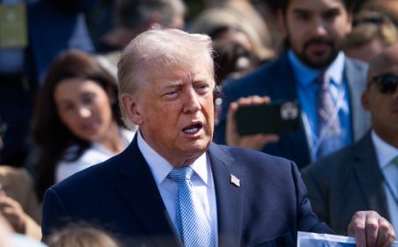 PHOTO: President Trump Unveils Rendering for the 'Most Beautiful Triumphal Arch' in D.C.