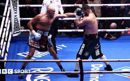 'Optimal performance' - Haye & Lewis react to Fury win