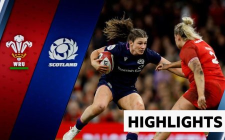 Scotland hold out to claim hard-fought win over Wales