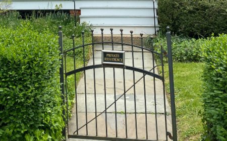 WATCH: New York Grandmother, 75, Attacked for Asking Dog Walker to Pick Up After Her Pet