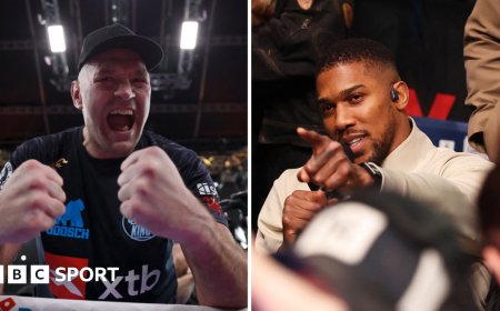 What next for heavyweight division after Fury's win?