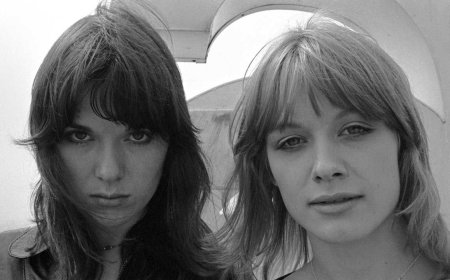 "I had a bad flu and was delirious, but the lyric was so great that it lifted me up in my sick bed." How Ann and Nancy Wilson poured their feelings about love and the state of the world into a debut single that became an evergreen rock classic
