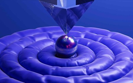 Physicists have discovered a strange magnetic force and now believe matter may follow an unknown order