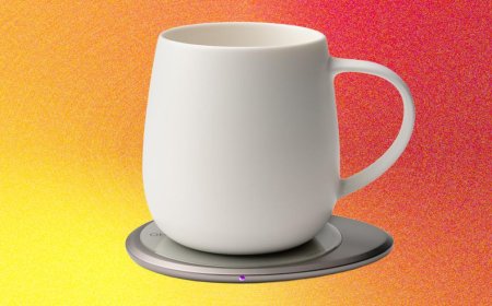 The 3 Best Mug Warmers of 2026: Better Than the Ember Mug?
