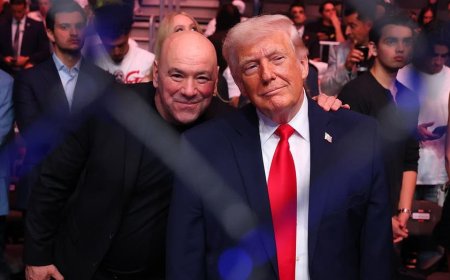 Trump gets Dana White to add fight to UFC White House card after personal ask