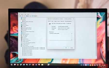 I had no idea what USB standard my laptop ports actually used until I found this in Device Manager