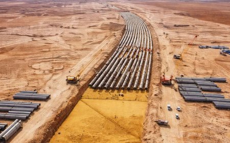 Saudi Arabia is turning wastewater into an ever-expanding green corridor in the middle of the desert