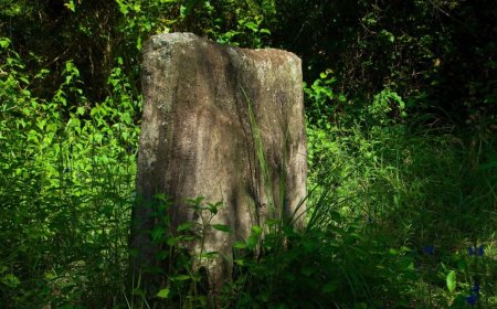 A Student Found a Single Stone Hidden Beneath an English Forest That Led to a 3,700-Year-Old Ritual Site
