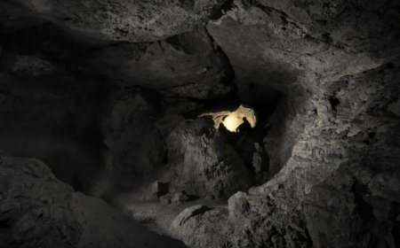 Scientists Discover a Massive Cave That Preserved Traces of Human Life Long After They Disappeared From the Surface