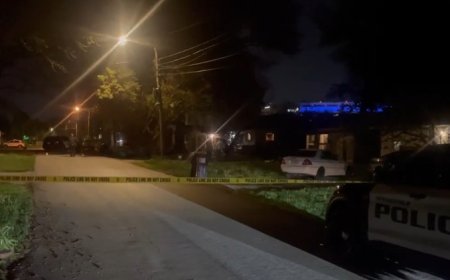 Four arrested after Saturday night shooting in Springfield