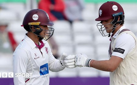 Somerset race to 10-wicket win at Essex