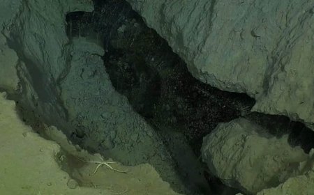 Scientists Found Strange “Modern” Structures on the Arctic Seafloor That Should Not Physically Exist