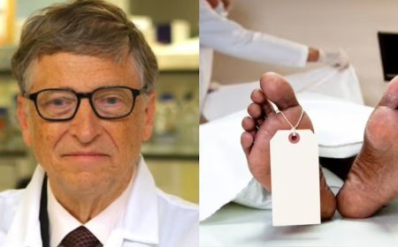 Gates-Funded Scientists Growing ‘Brainless’ Human Clones to Serve as Legal Slaves for Elites