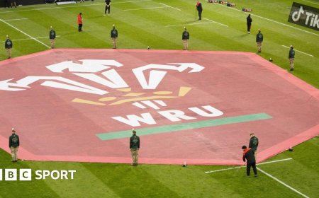 What is at stake at Welsh rugby's latest EGM?