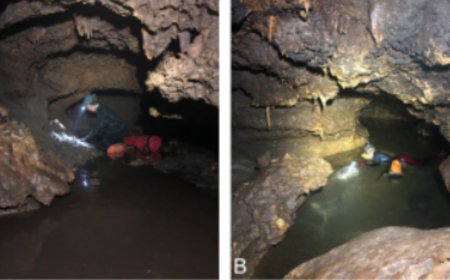 Scientists entered a flooded cave and discovered a hidden Ice Age world where giant armadillos and massive tortoises once lived