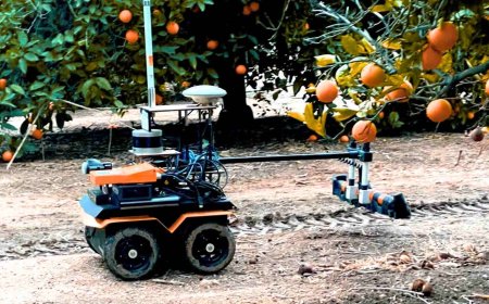 Say goodbye to blind watering: this new robot knows which trees need water and which don’t