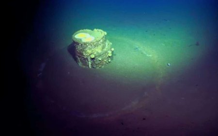 Scientists Have Discovered Mysterious Barrels Encircled by Strange White Halos on the Ocean Floor