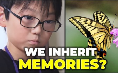 The Butterfly Blueprint: How a 10-Year-Old Shook the World of Entomology