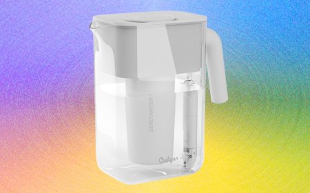 The 4 Best Water Filter Pitchers (2026): PFAS, Microplastics