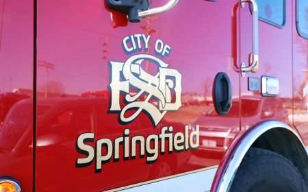 Springfield man accused of starting fire that killed 10 cats